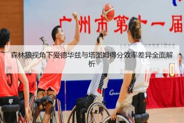 森林狼视角下爱德华兹与塔图姆得分效率差异全面解析